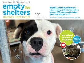 Bringing Holiday Hope: Palm Valley Animal Society Partners with BISSELL Pet Foundation