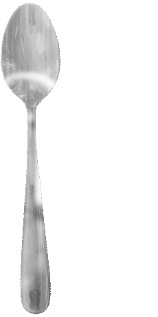 There is no spoon.gif