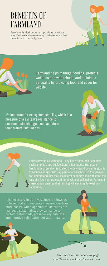 Infographic 2 by Claire.png