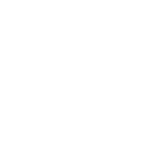 Logo Evelyn Emberger Empowerment.png