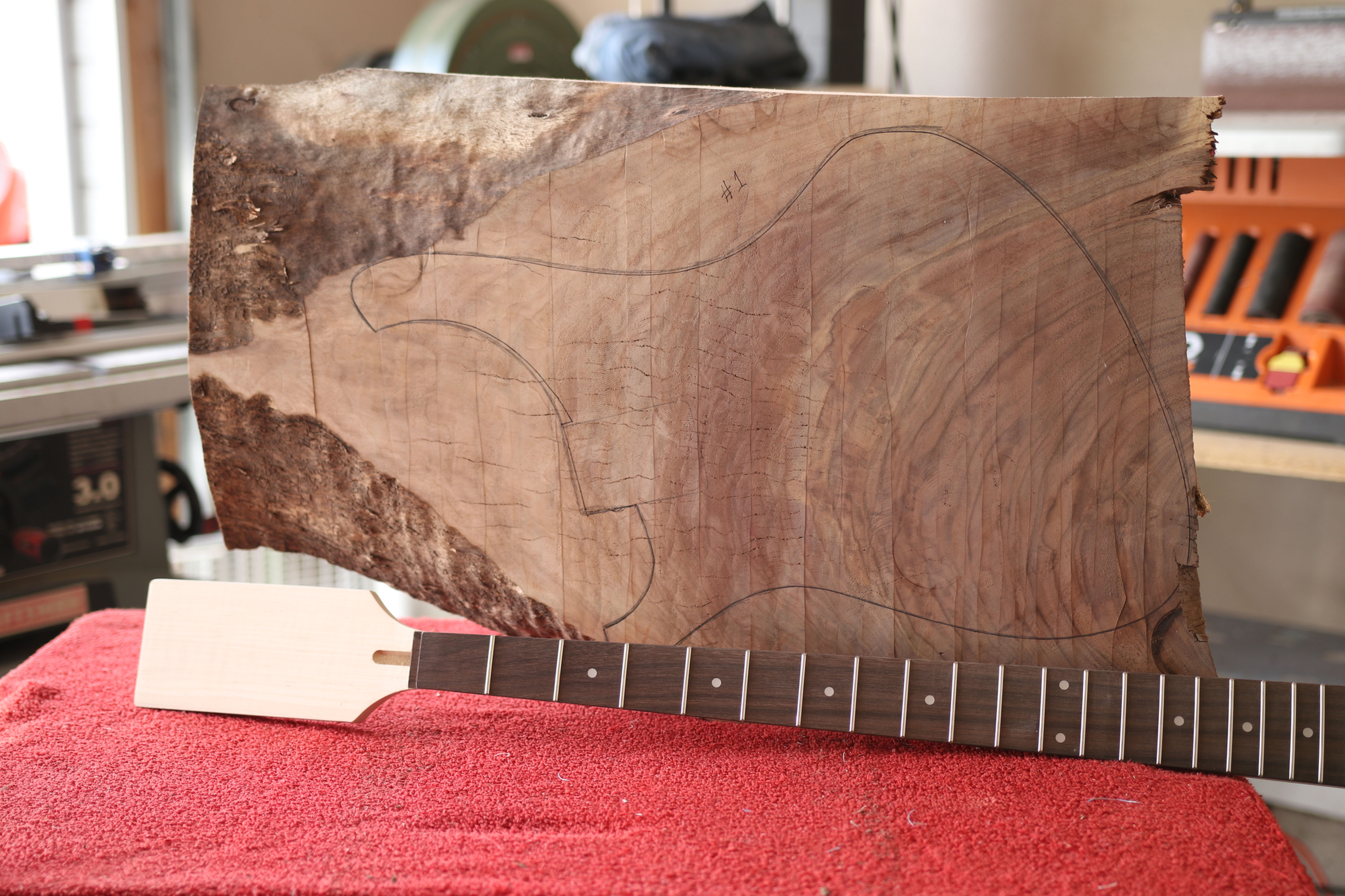 Behemoth Bass Prototype Black Walnut #1