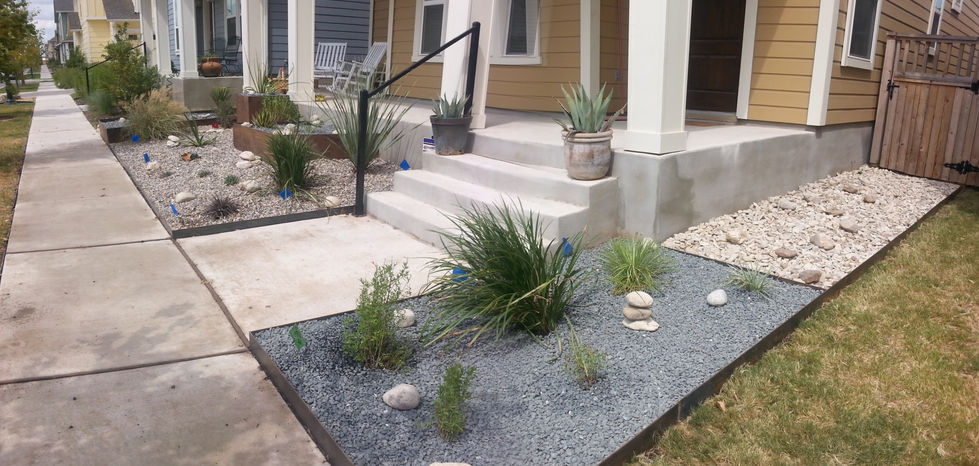 a garden with rocks and plants in front of a house