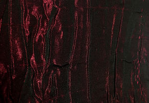 VAA Curtain.jpeg