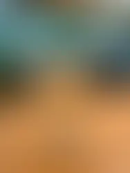 Sex Appeal