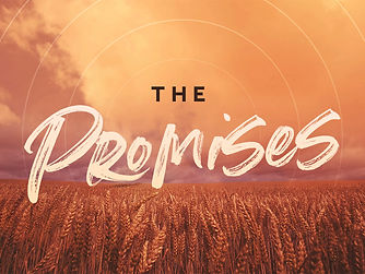 The Promises-Main.jpg