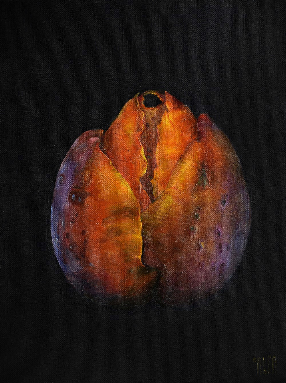 Olga Fossa Golubeva "Types of Fruit of the Phantom Valley. Vialmorphic"