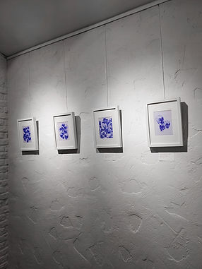 20240111_185316.jpg