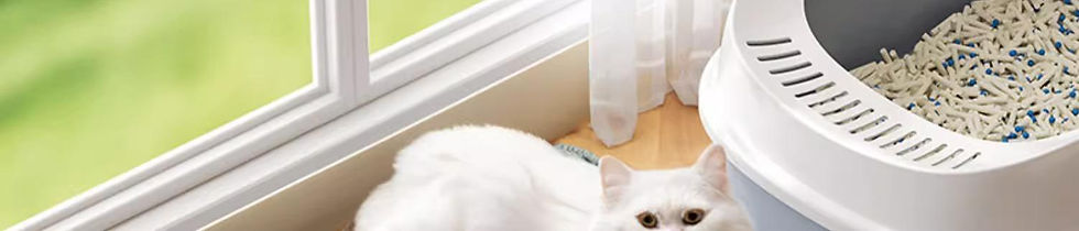 Thumbnail: CleanPaw Double-Layer Litter Mat