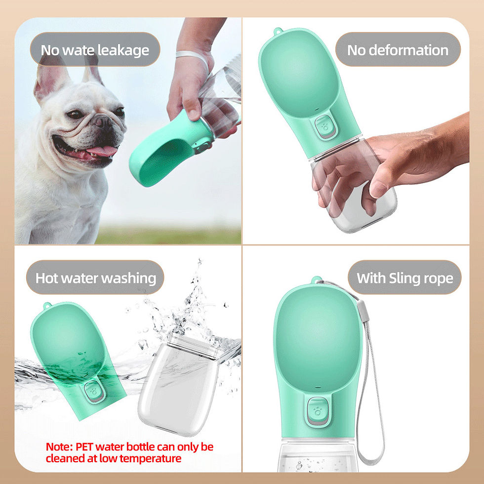 Thumbnail: AeroGulp Leak-Proof Travel Water Bottle
