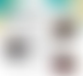 Barun ICT Newsletter December 2025