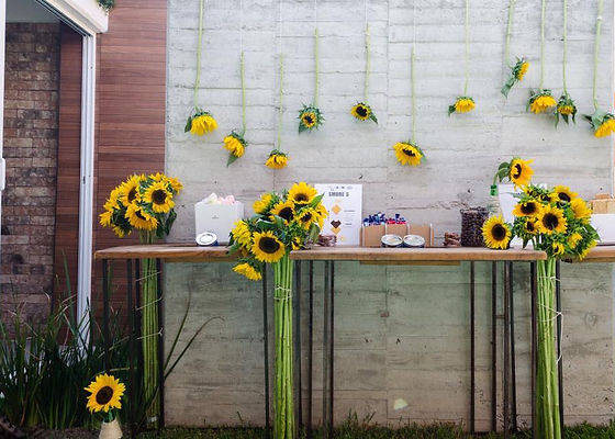 Salon Terra -Evento Bautizo-
