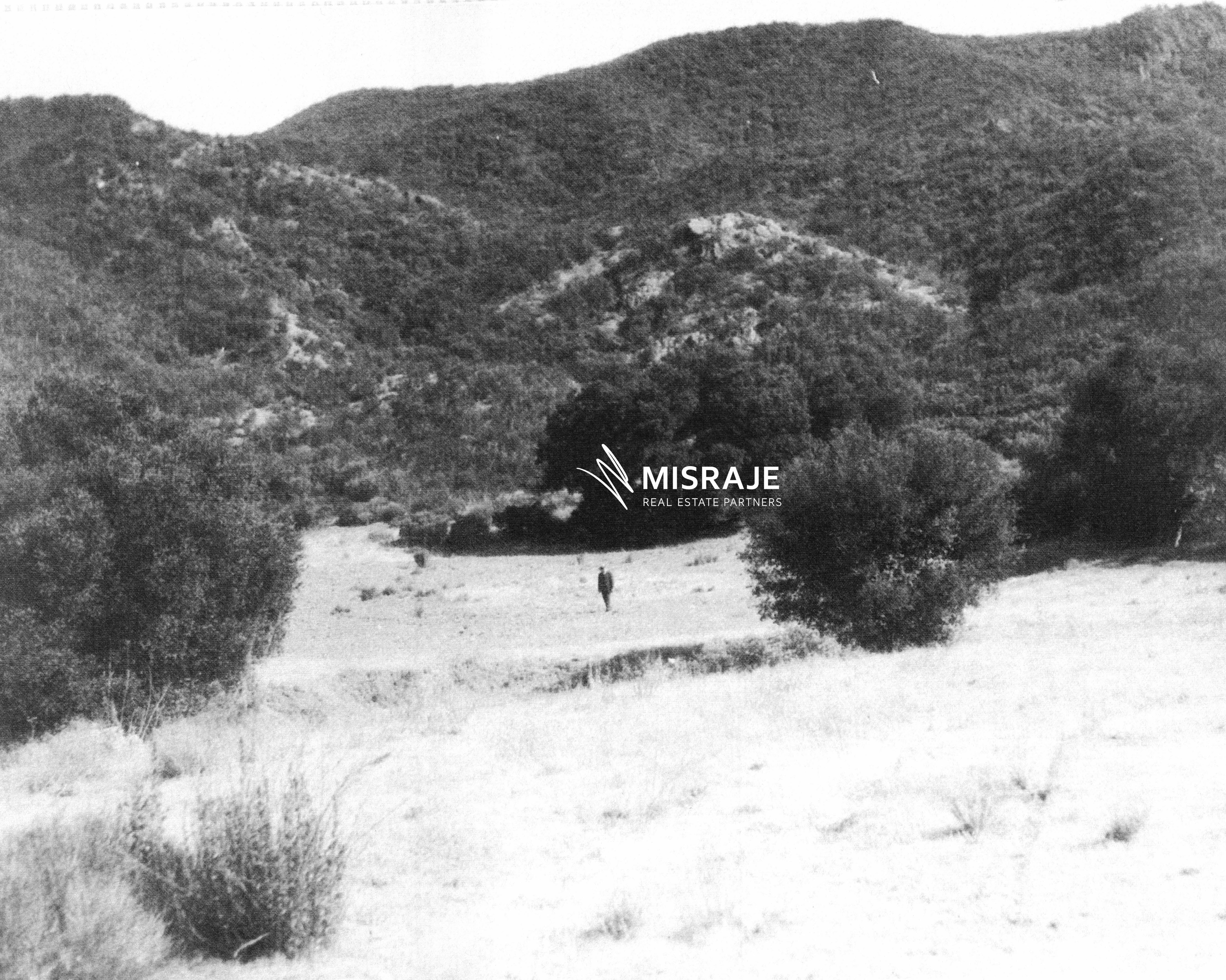 Original black-and-white photo of Fryman Ranch picnic scene