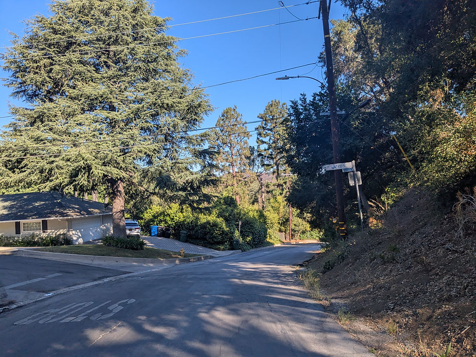 Scenic winding road in Fryman Estates surrounded by mature trees and natural hillside landscape