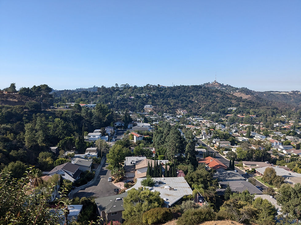 Scenic view of East Laurelwood neighborhood and The Doña Streets in Studio City, featuring mid-century homes and lush landscapes