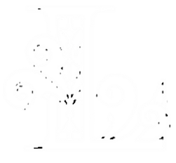 image (1).png