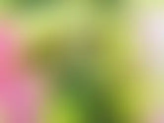 Why medical over recreational (adult use)?