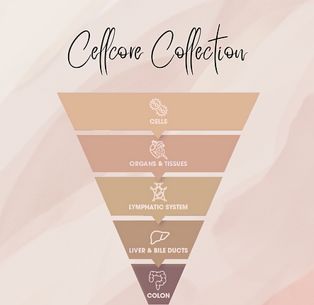 Cellcore Collection