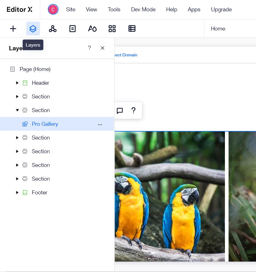 WIX Editor X Layers