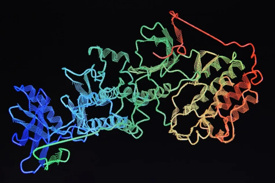 Protein Characterization