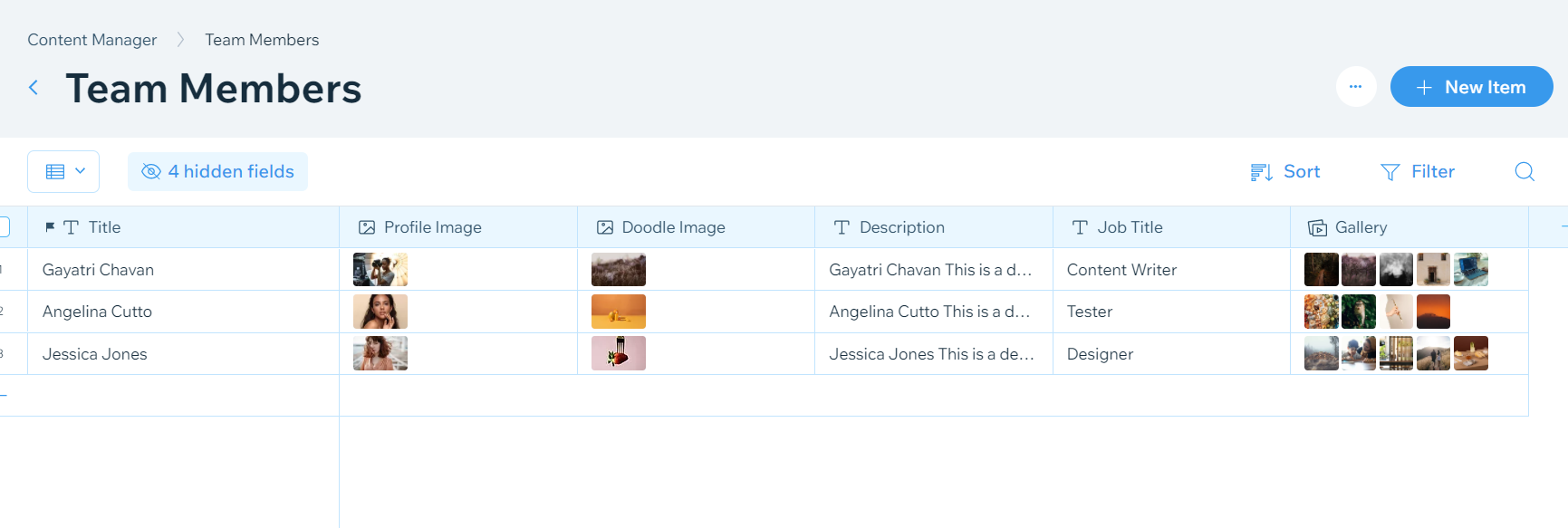 Team Member Dataset