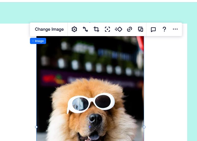 WIX Editor X Action Bar