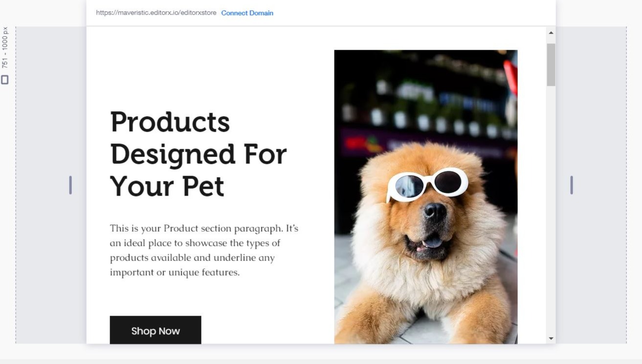 WIX Editor X Canvas