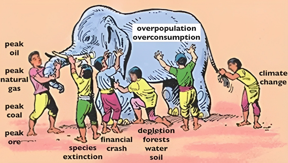  "Parable: The Elephant & Six blind-men" 
(Beyond Fragmented Understanding Towards Multi-Dimensional Crisis)