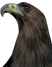 ask改変, モンスター, 鳥