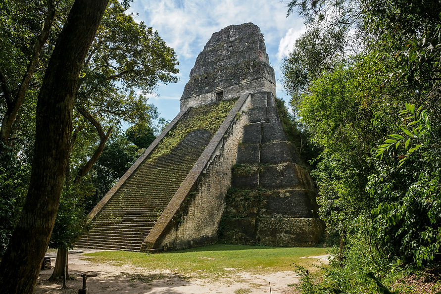 alexander-schimmeck-uQ7BRkhn6gs-unsplash.jpg