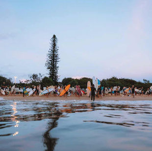 A crowd of Surfers on the beach with a single pine tree in the frame