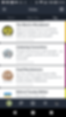 Circles (1).png