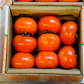 _DSC0109 (1)_edited.jpg