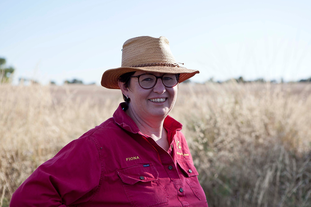 Fiona Aveyard Outback Lamb