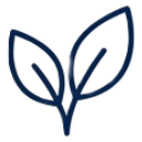 zj6cl4_edited.png
