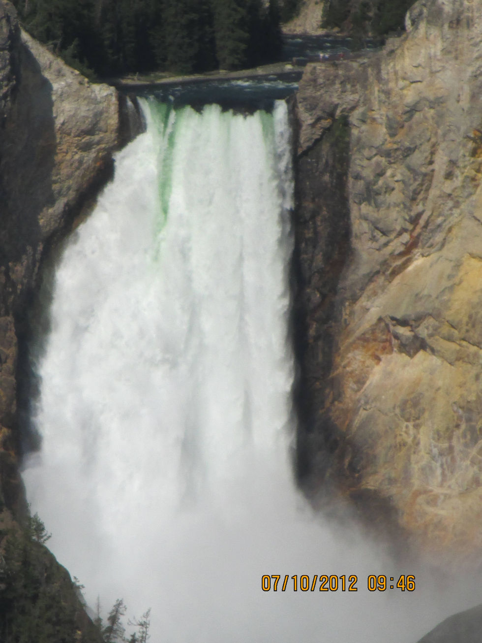 Yellowstone 262