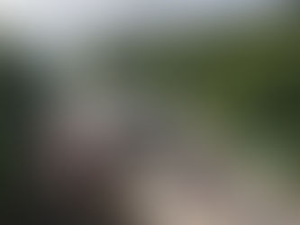 Neue S‑/Regionalbahn‑Haltestelle an der Großhesseloher Brücke geplant– Chance für Grünwald beantragt