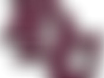 Prairie du Chien City Council approves the budget for the upcoming year