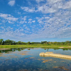 Gilbertson Conservation Education Area