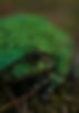 received_266737947783204.jpeg