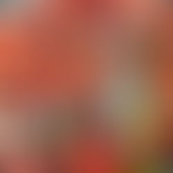 Chaud-froid de tomates cerises au yaourt citronné de Yotam Ottolenghi  (super recette de la flemme)