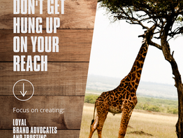 Don't get caught up with your Social Media Reach