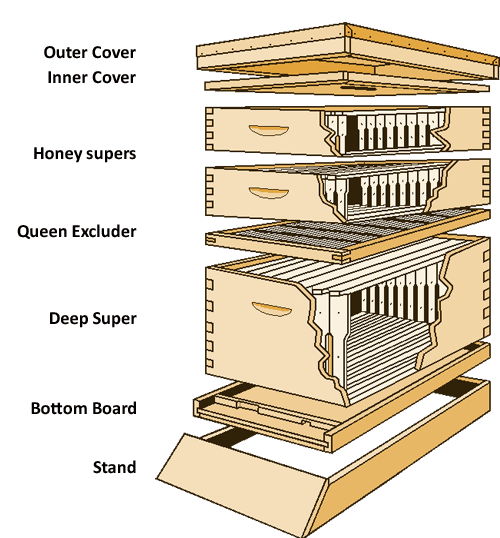 10 or 8 Frame Hive Kits complete