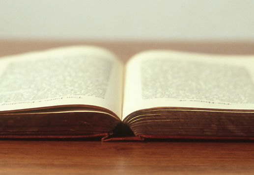 Peyami Safa'dan Bir Parça - Let's learn some words and expressions in Turkish!