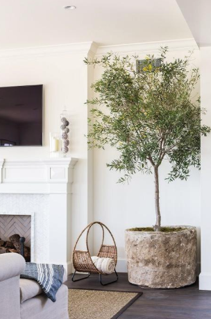 House plants grand and small can add depth to any room .