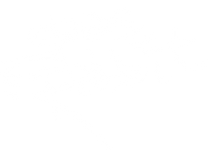 Balloon-Rabbit-Signature-All-White.png