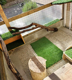 ab715719-8e82-48c8-af18-c70dda18e9e0.jfif