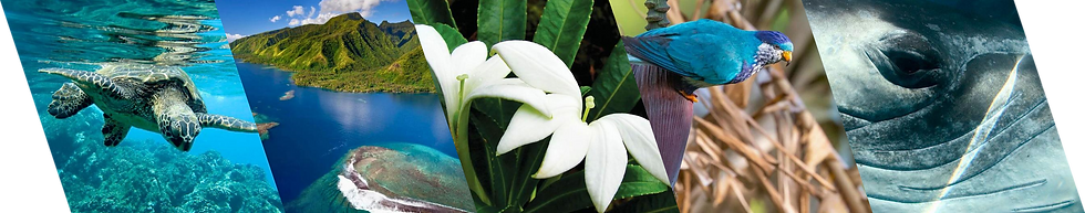 diapo photos nature.png