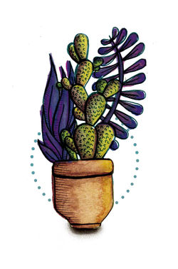 Cactus