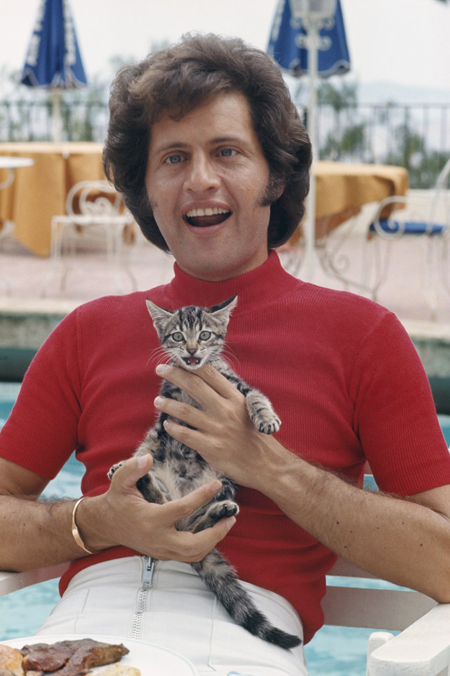 Joe DASSIN