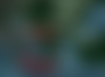 E - 164 : Muslim Crescent on Peter's Mosque?